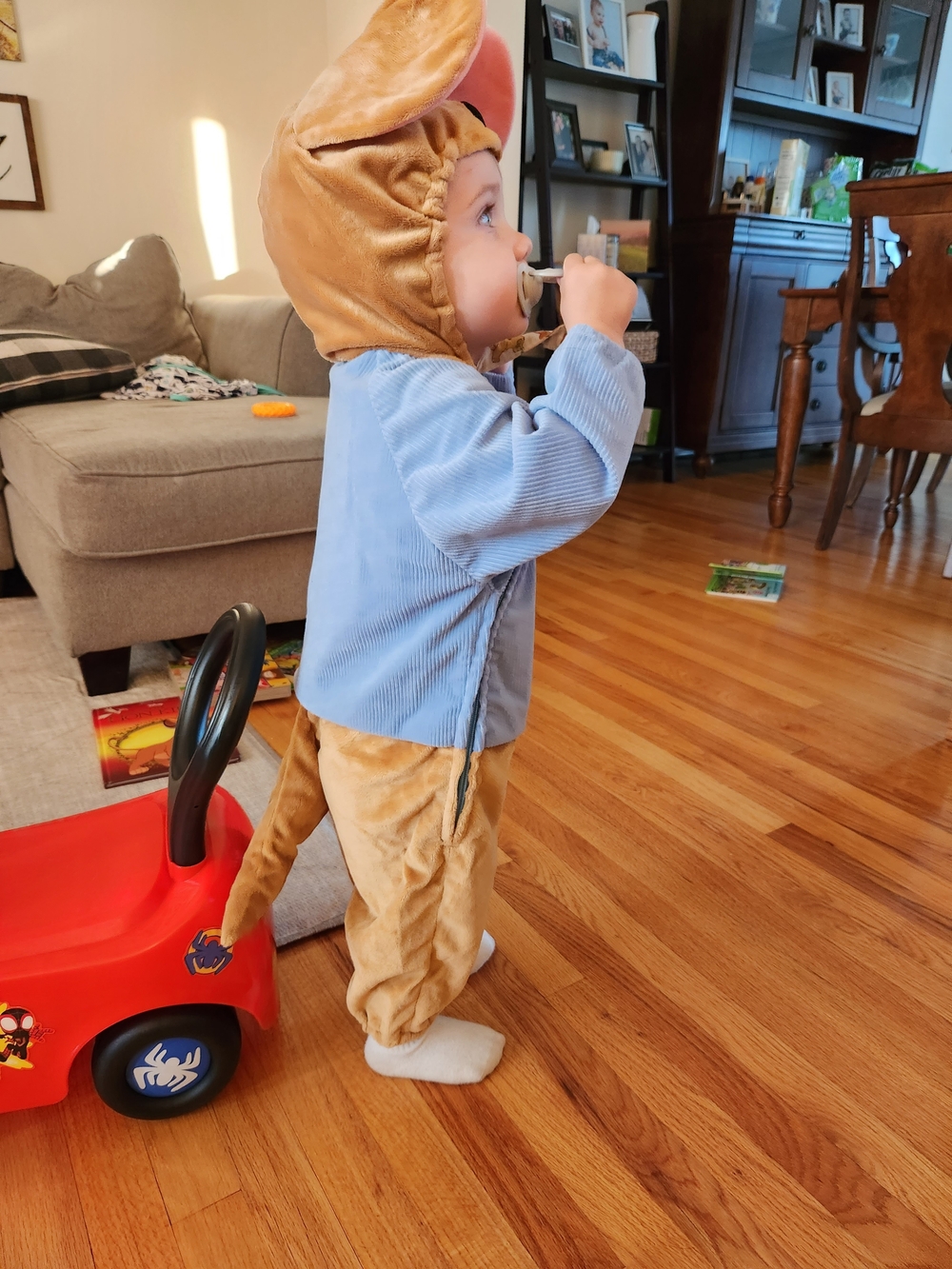 Disney Store Original Roo Costume - Picture 4 of 4